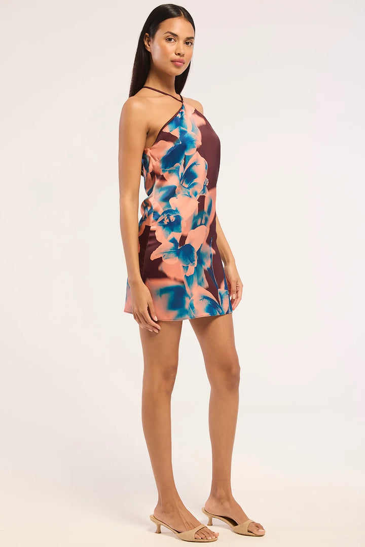 Avri Dress