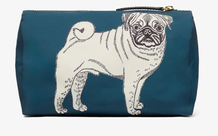 TouTou Dogs Case in Blue