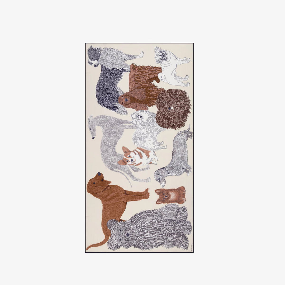 SCARF / ETOLE 100 COTTON TOUTOU WHITE/BLANC
