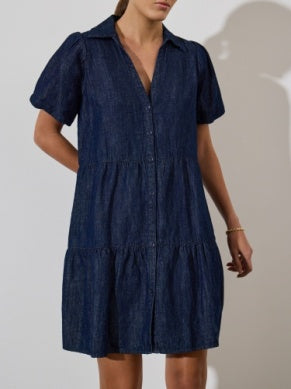 Havana Mini Indigo Dress