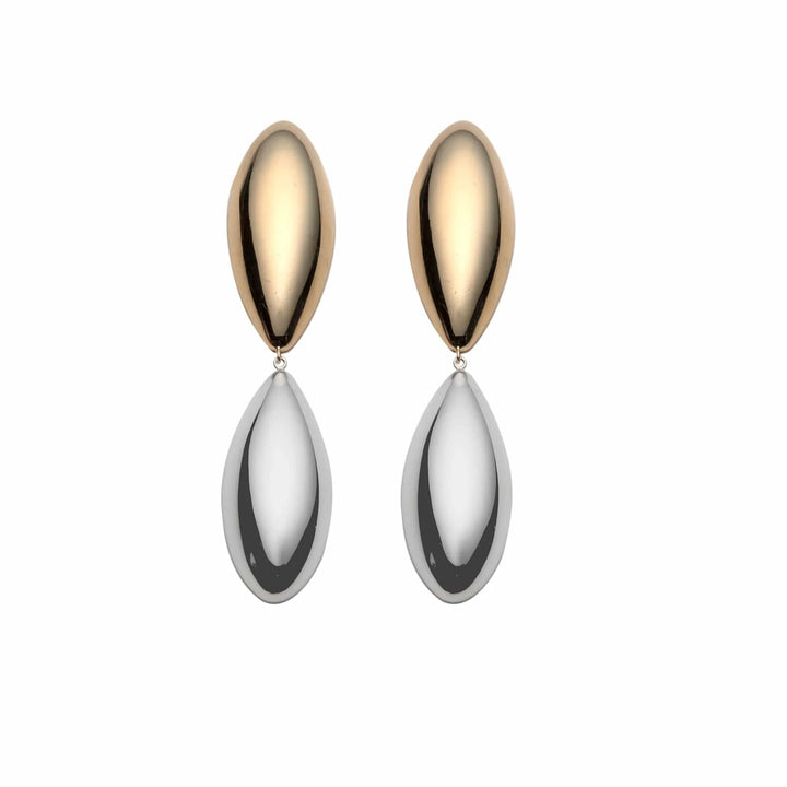 Delaina Two Tone Earrings