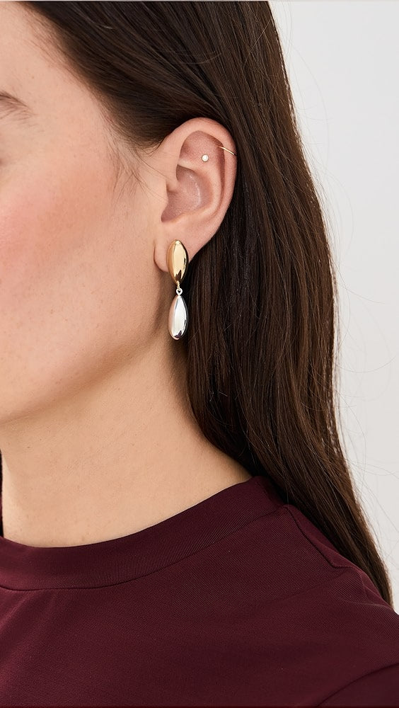 Delaina Two Tone Earrings