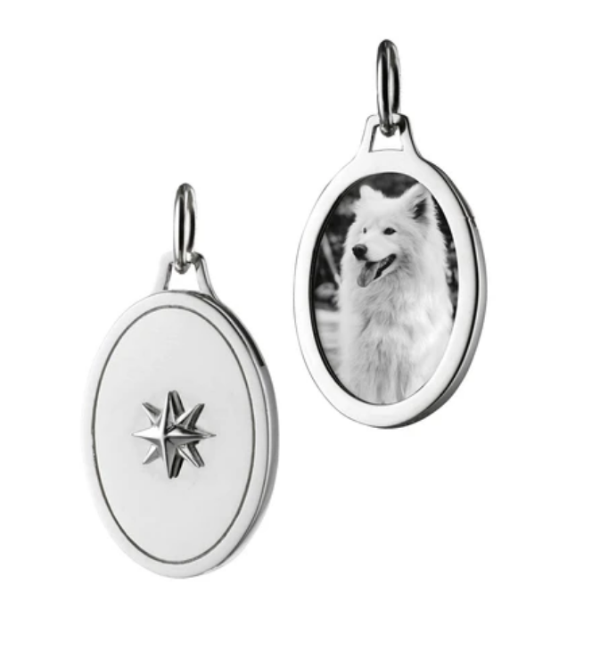 Oval Star Half Locket Charm